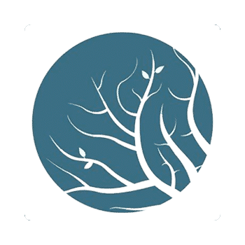 Lumion